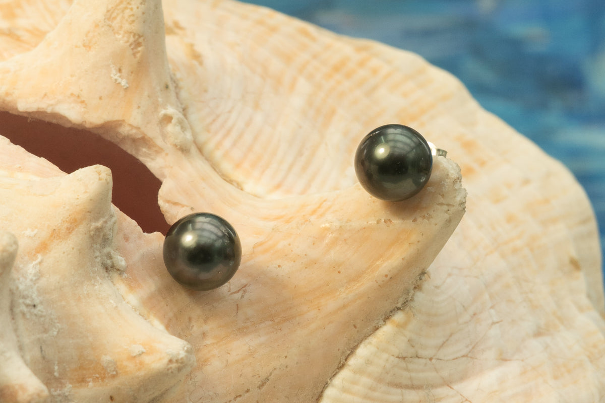 Stunning Round AAA grade Tahitian Pearl Studs