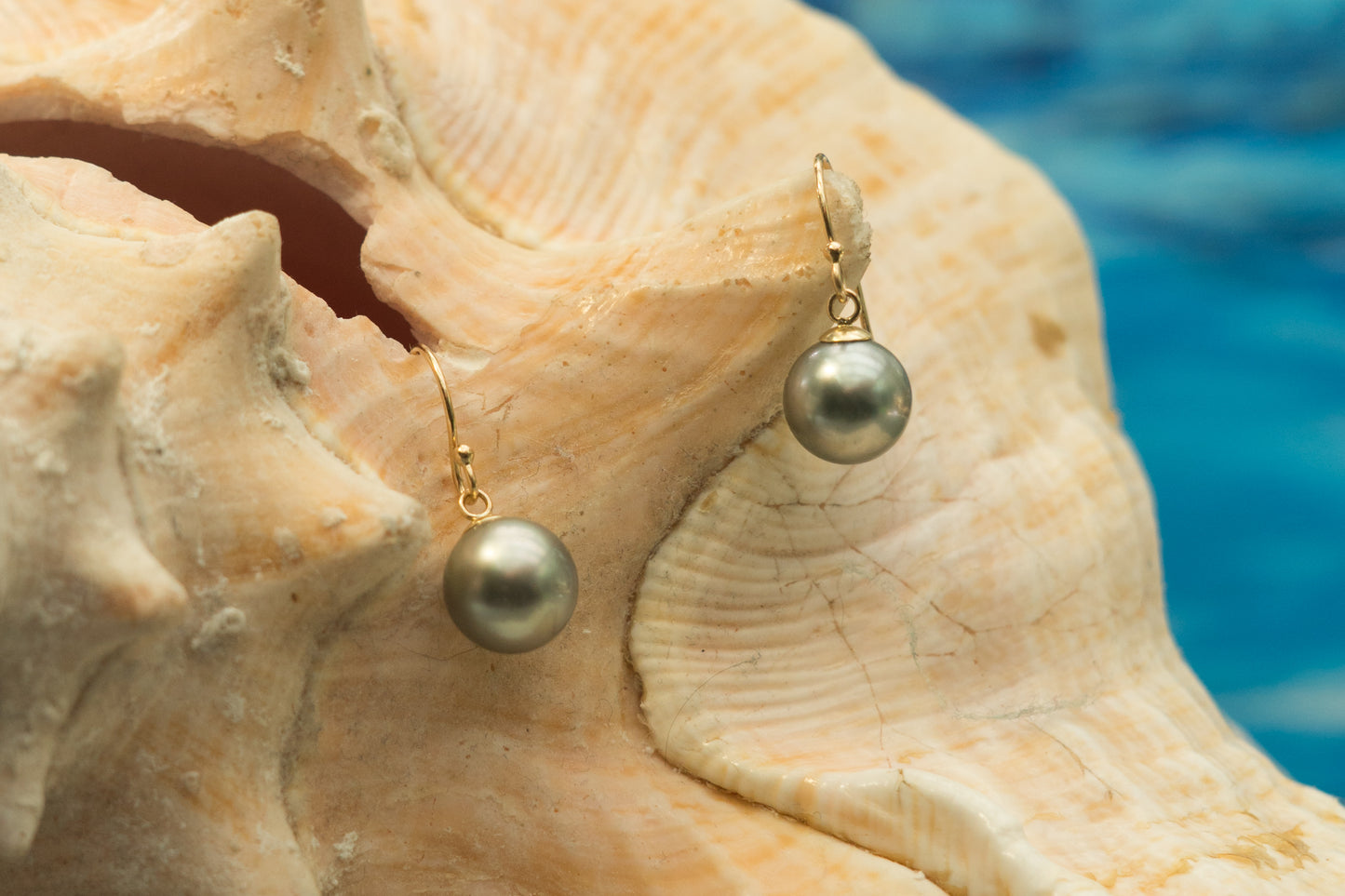 AAA grade Tahitian Pearl Earrings
